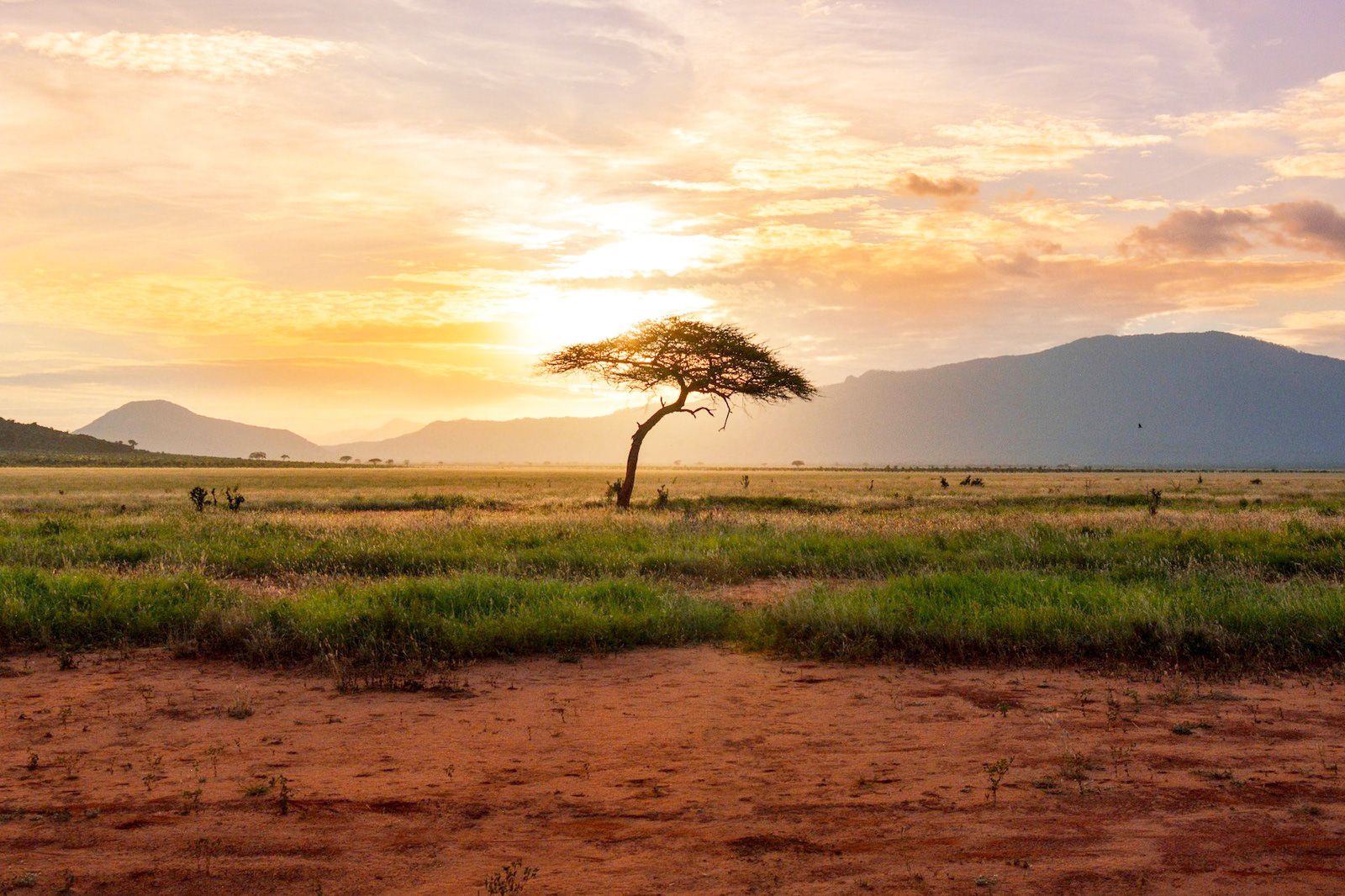 Nomad Standard - Fixed (Africa)