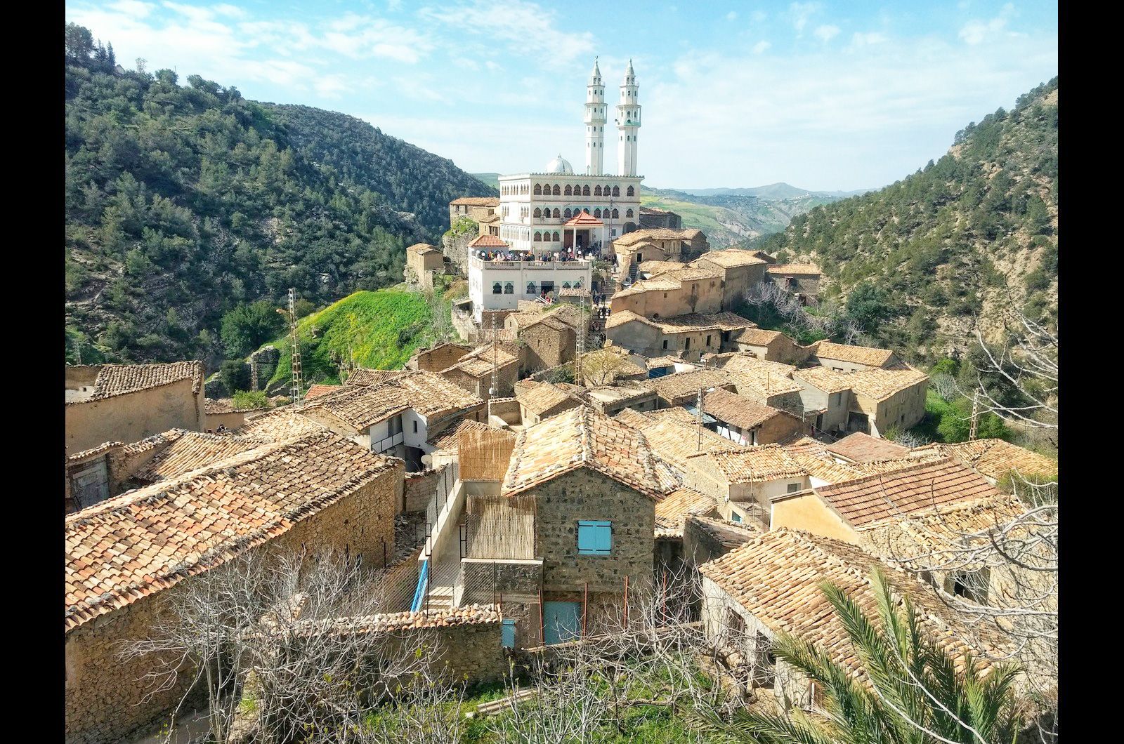 Nomad Standard - Fixed (Algeria)