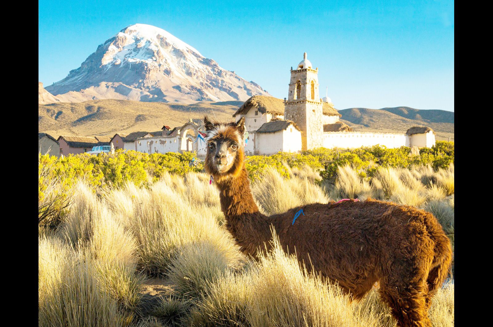 Nomad Standard - Unlimited Lite (Bolivia)