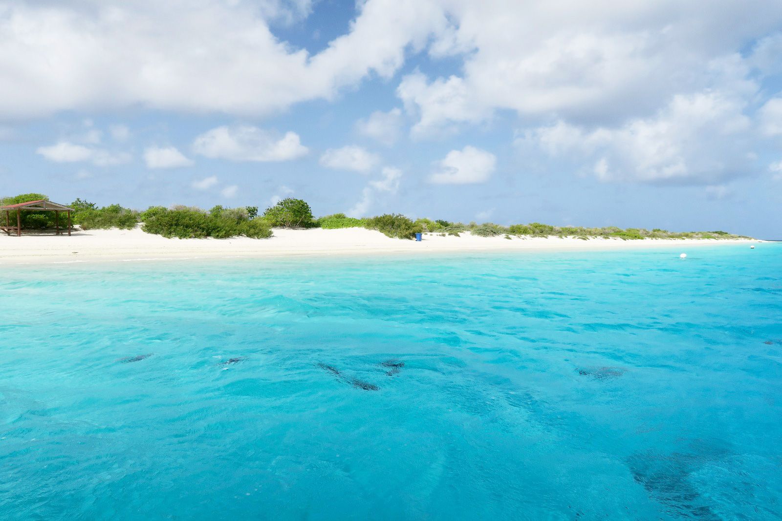 Nomad Standard - Fixed (Bonaire, Sint Eustatius And Saba)