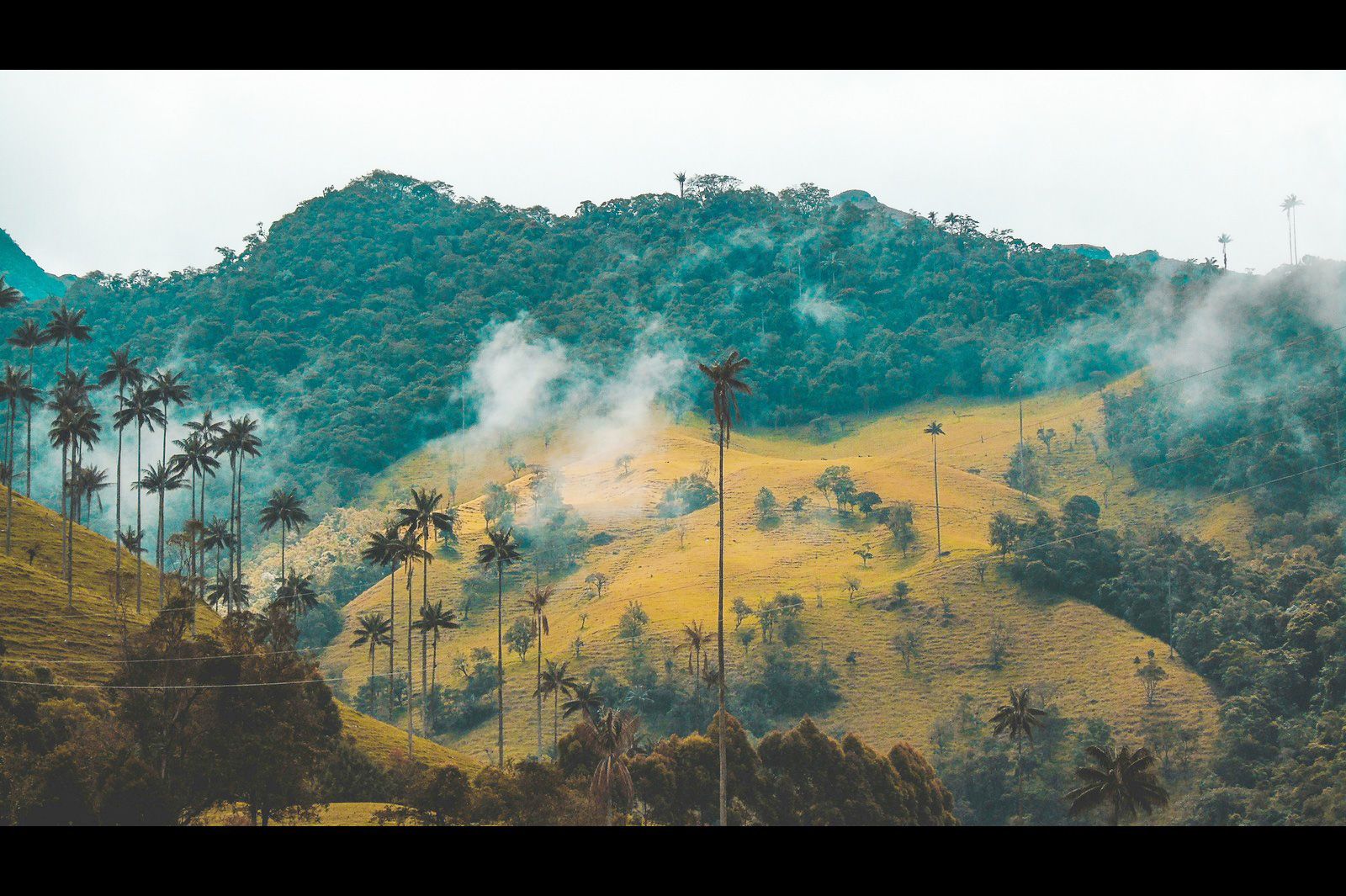 Nomad Standard - Unlimited Lite (Colombia)