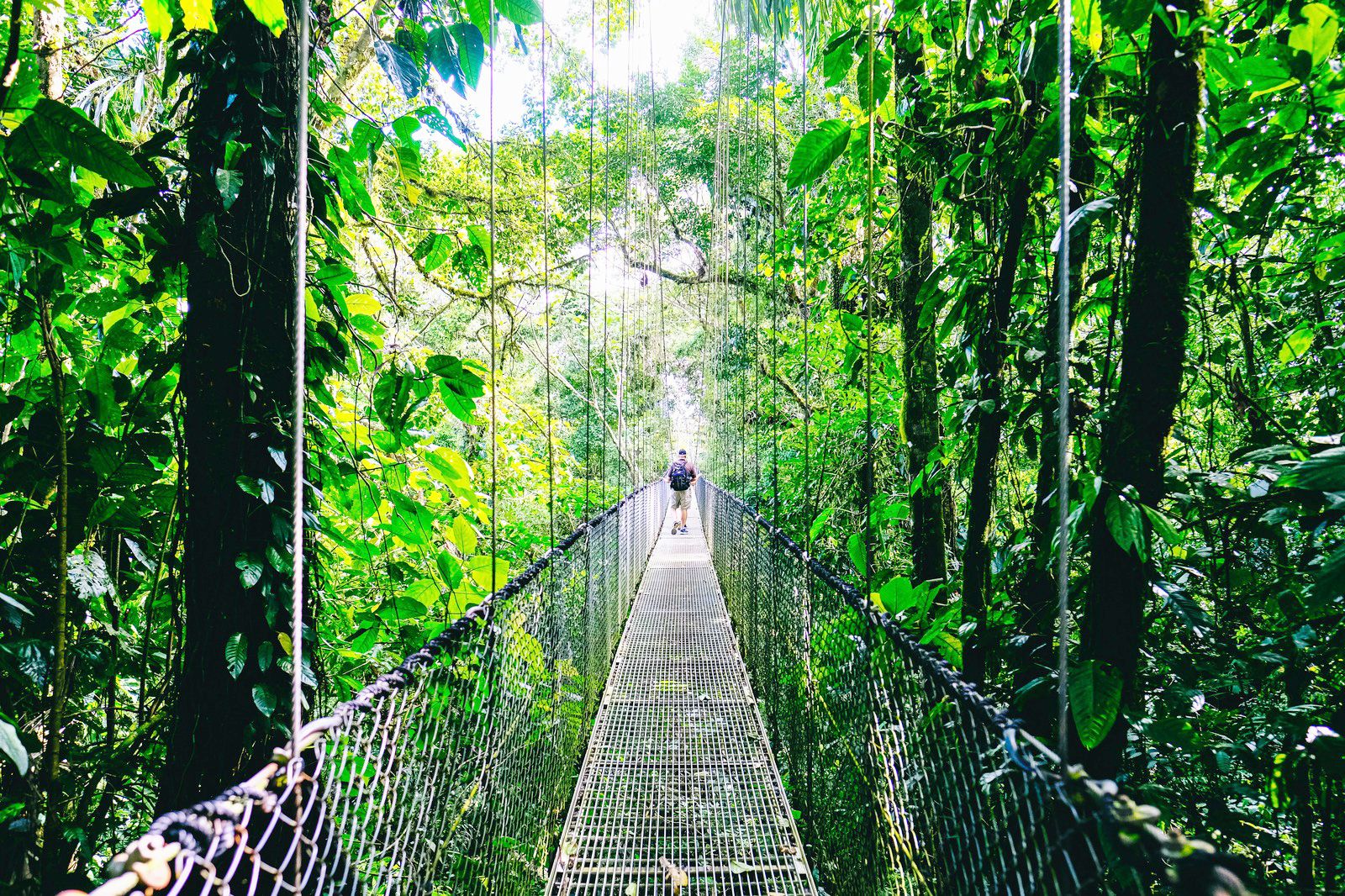 Nomad Standard - Fixed (Costa Rica)