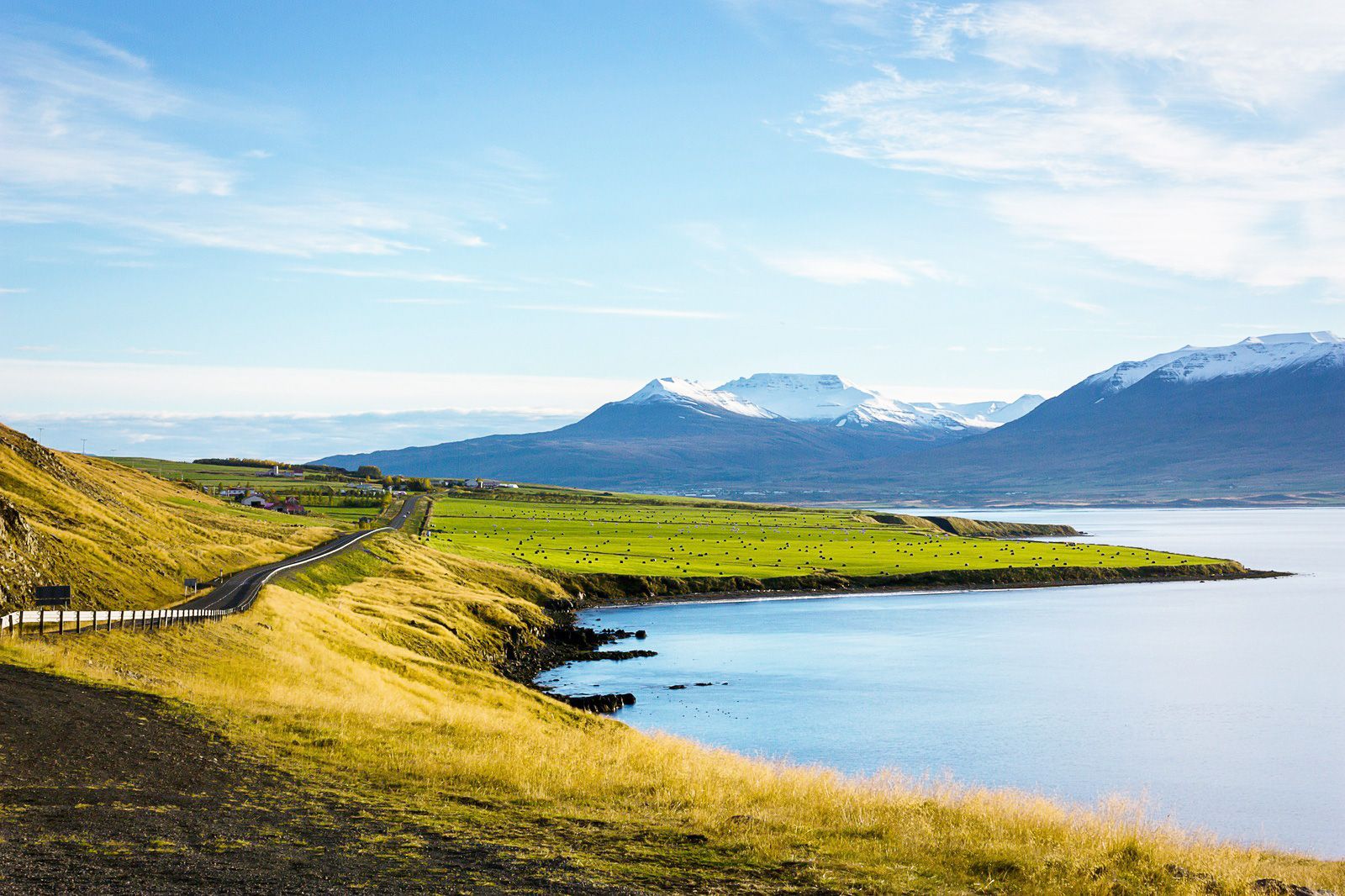 Nomad Standard - Fixed (Iceland)