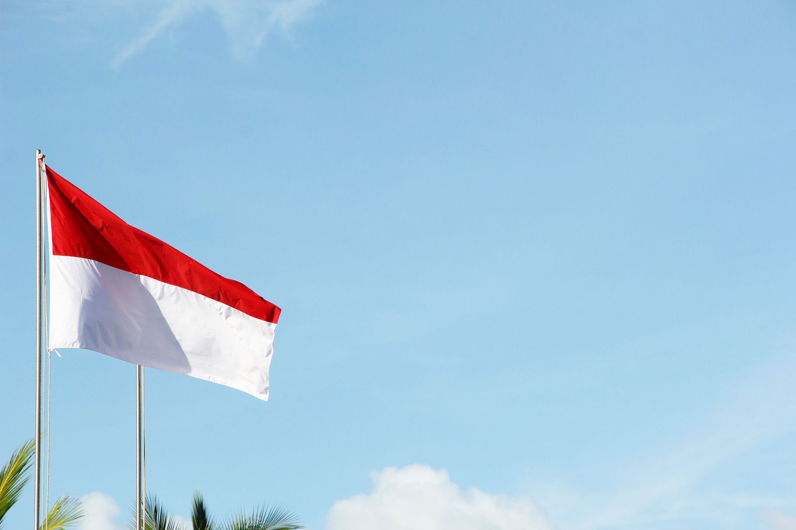 Nomad Standard - Fixed (Indonesia)