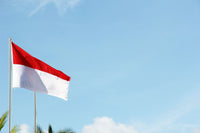 Indonesia eSIM