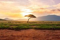 Kenya eSIM
