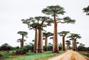 Madagascar eSIM