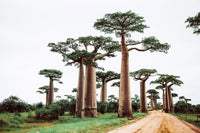 Madagascar eSIM
