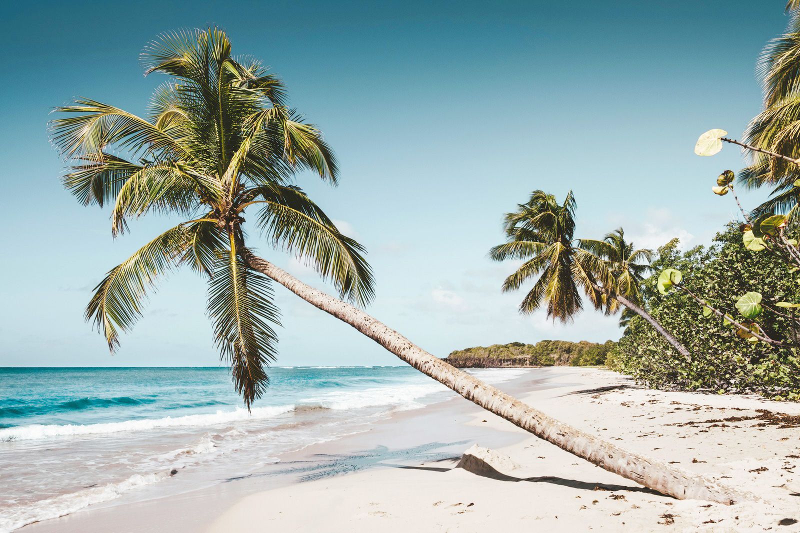 Nomad Standard - Fixed (Martinique)