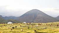 Mongolia eSIM