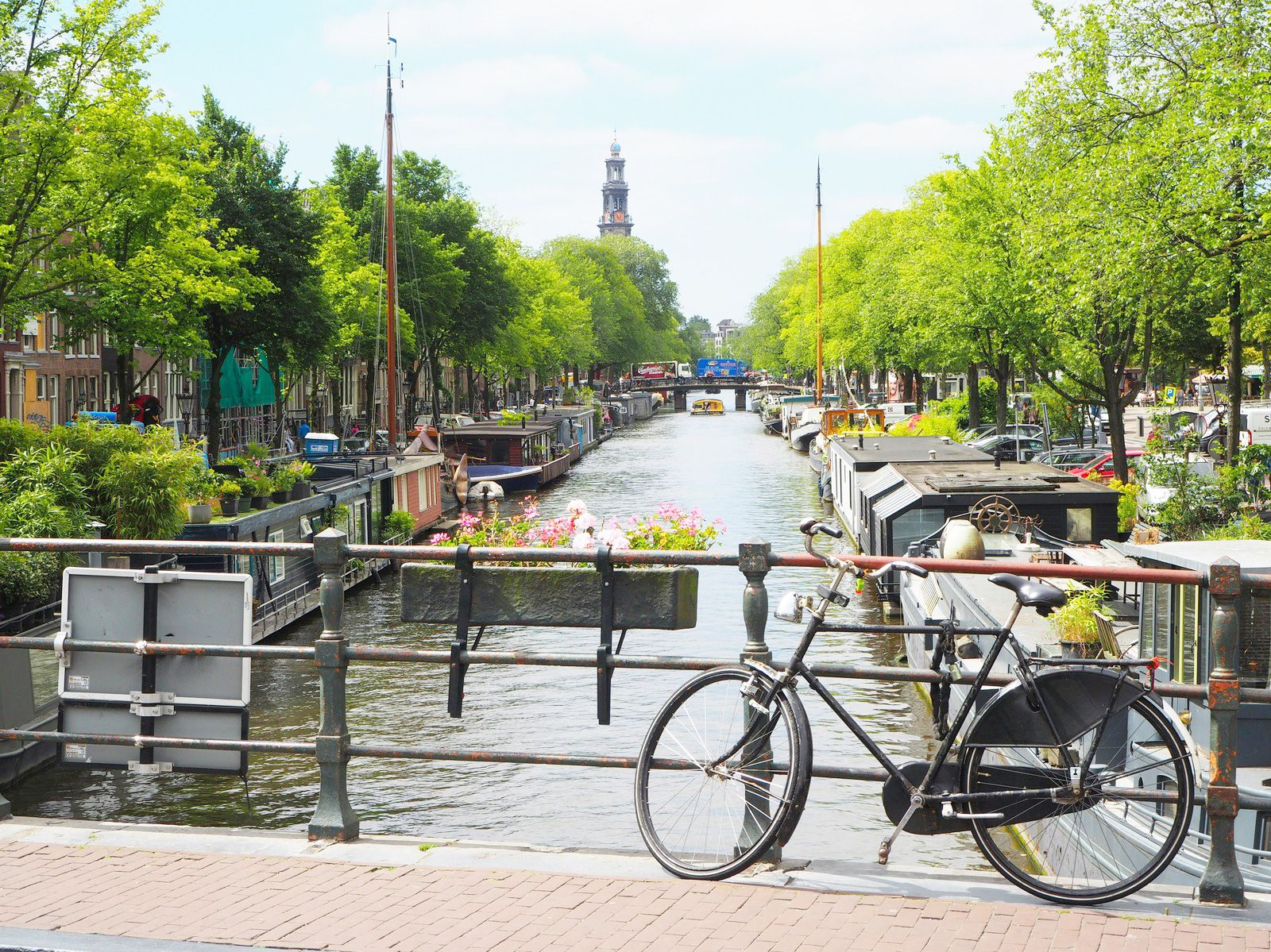 Nomad Standard - Unlimited Plus (Netherlands)