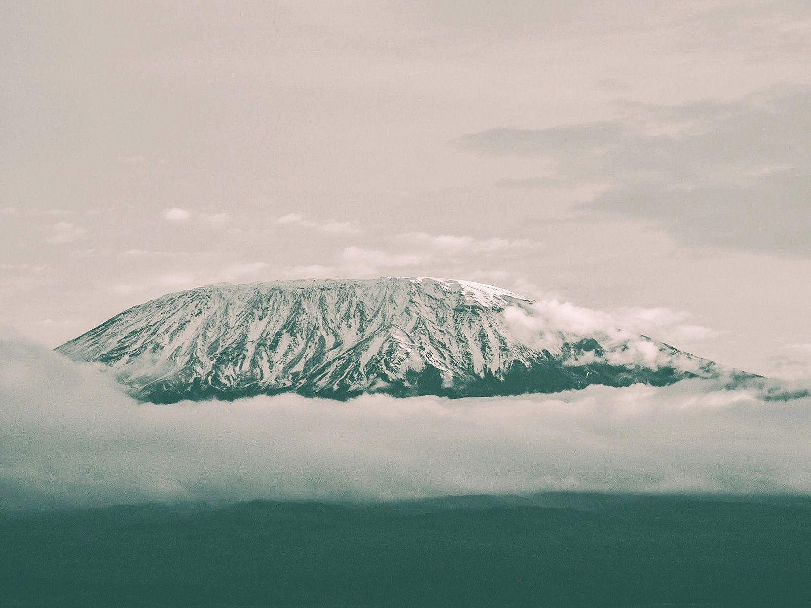 Nomad Standard - Unlimited Plus (Tanzania (United Republic of))