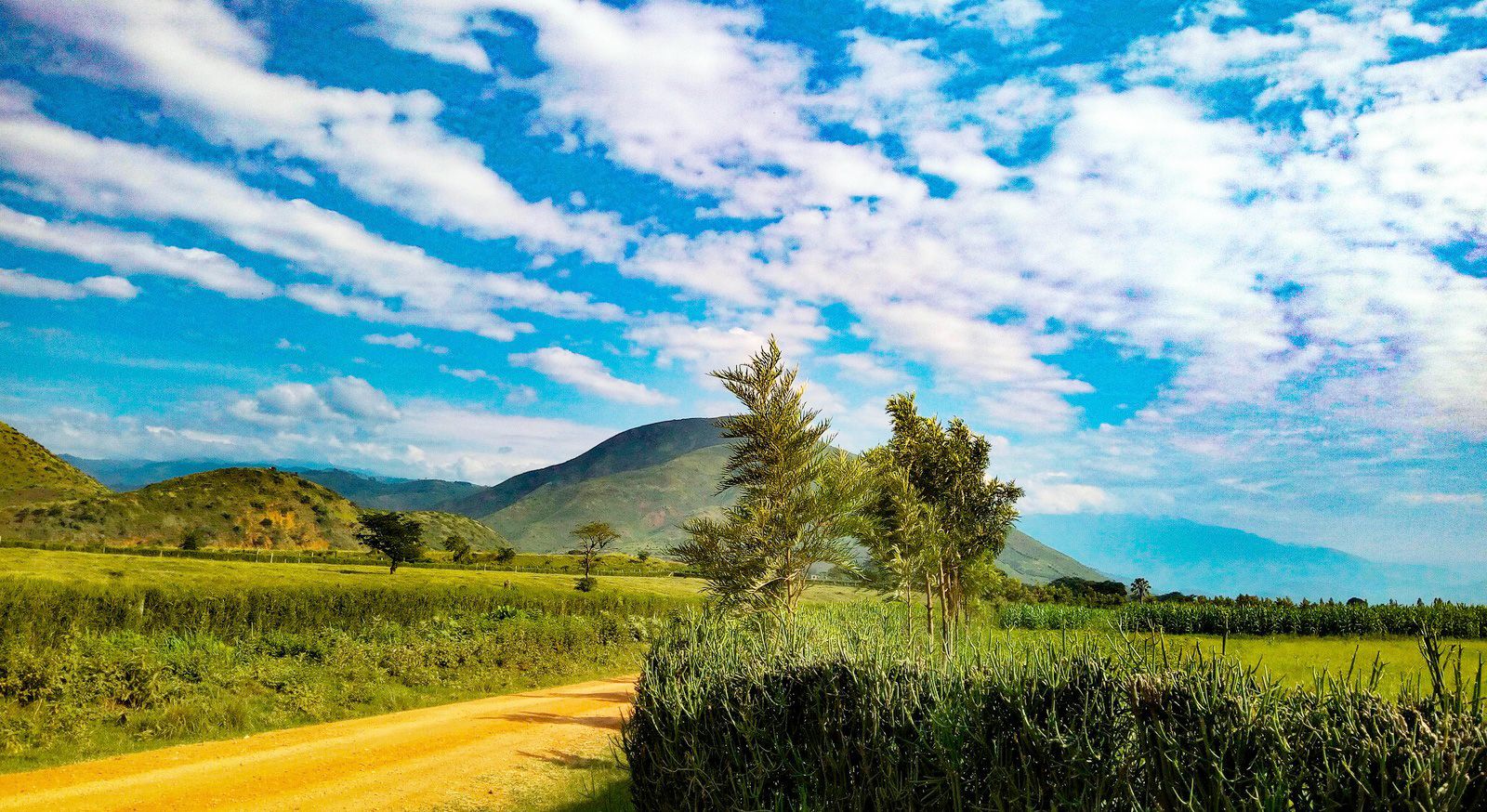 Nomad Standard - Unlimited Lite (Uganda)