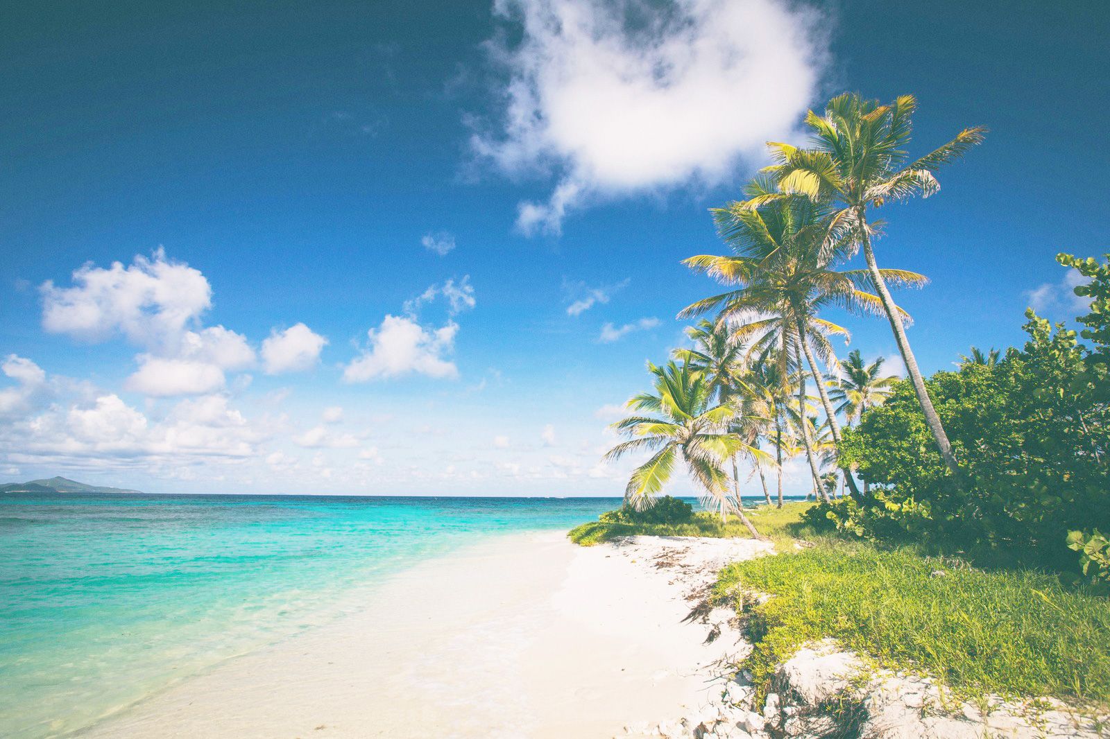 Nomad Standard - Fixed (Caribbean)