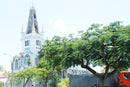 Guyana eSIM